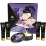 Набор SHUNGA GEISHA'S SECRET ЭКЗОТИЧЕСКИЕ ФРУКТЫ 5 предметов 8202 SG